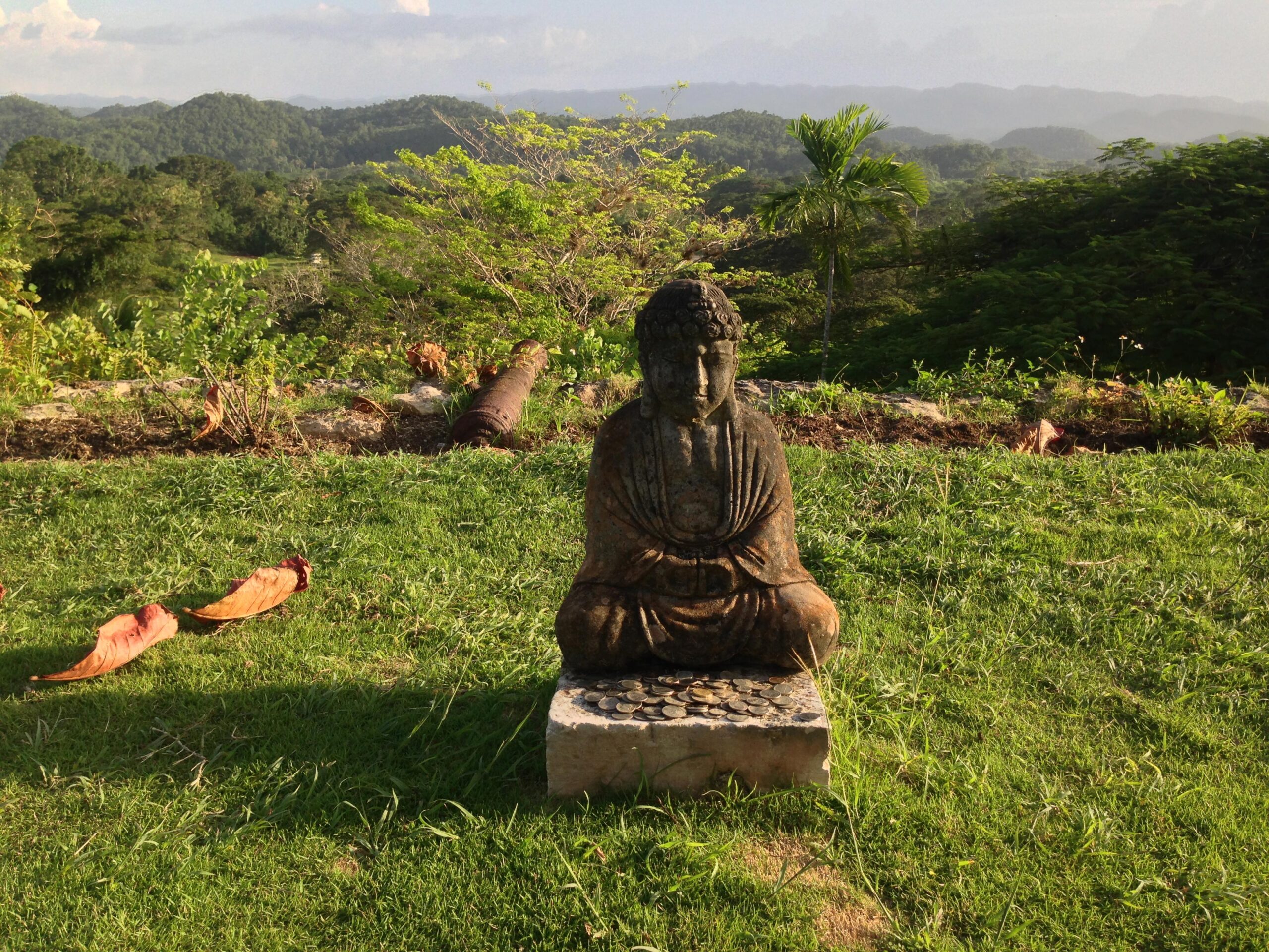 the-caribbean-journey-jamaica-day-1