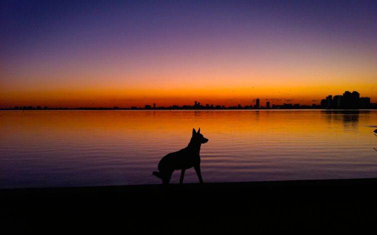 DavidSiqueirosPhotographs_Daybreak001