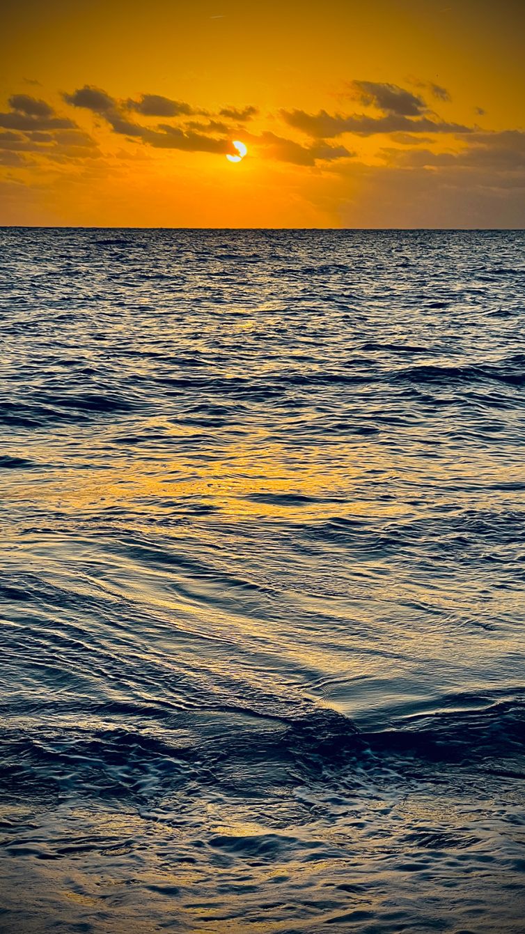 DavidSiqueiros_Daybreak_IIMG_2195