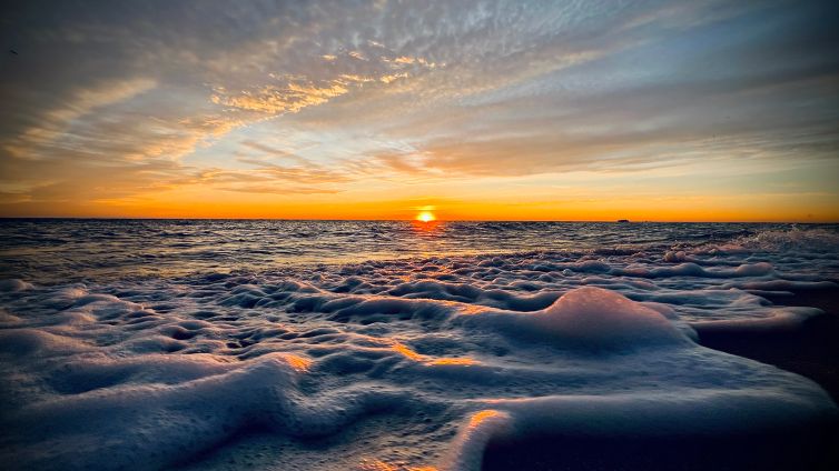 DavidSiqueiros_Daybreak_IIMG_2887