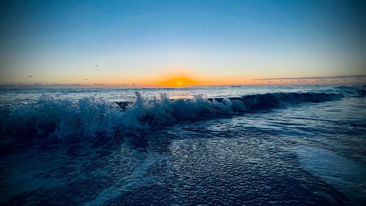 DavidSiqueiros_Daybreak_IIMG_3536