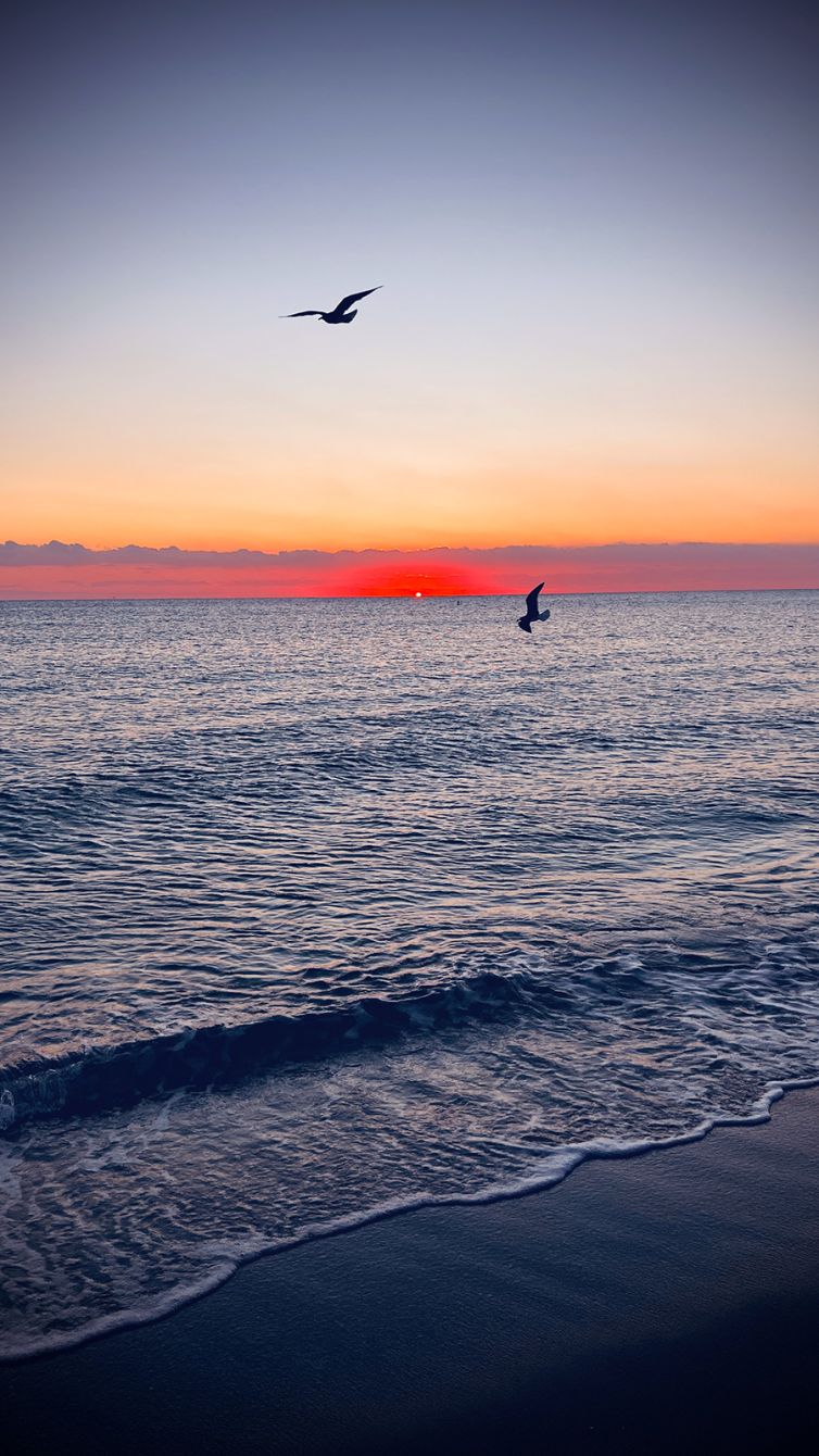 DavidSiqueiros_Daybreak_IIMG_5534