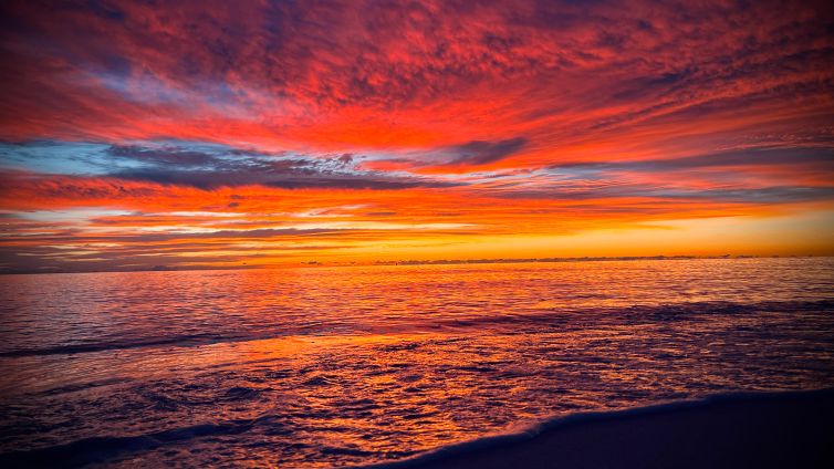 DavidSiqueiros_Daybreak_IIMG_5779