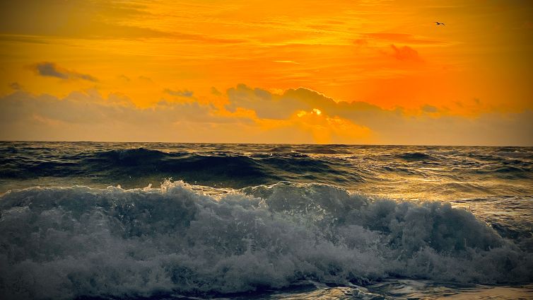 DavidSiqueiros_Daybreak_IIMG_6661