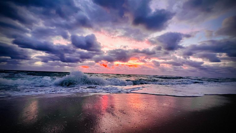 DavidSiqueiros_Daybreak_IIMG_8001