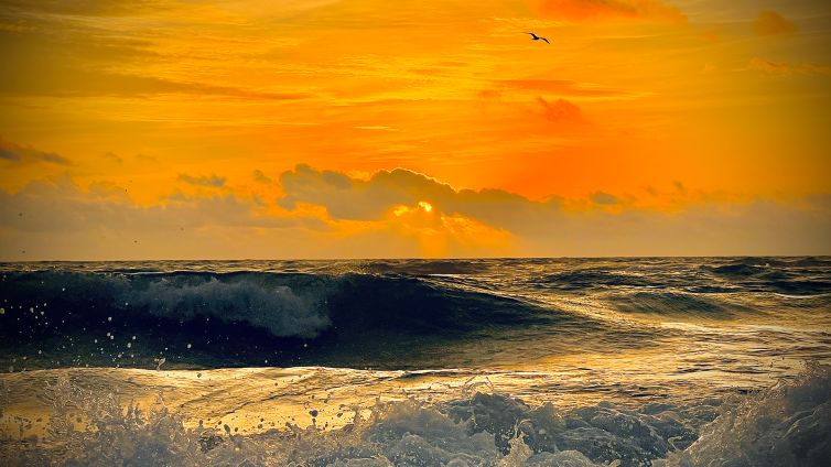 DavidSiqueiros_Daybreaks_02