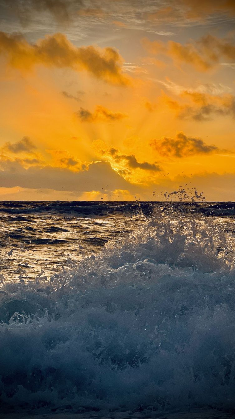 DavidSiqueiros_MorningSplash_IMG_8511